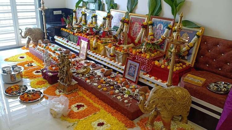Nag-Nagin Worship - Kaal Sarp Puja